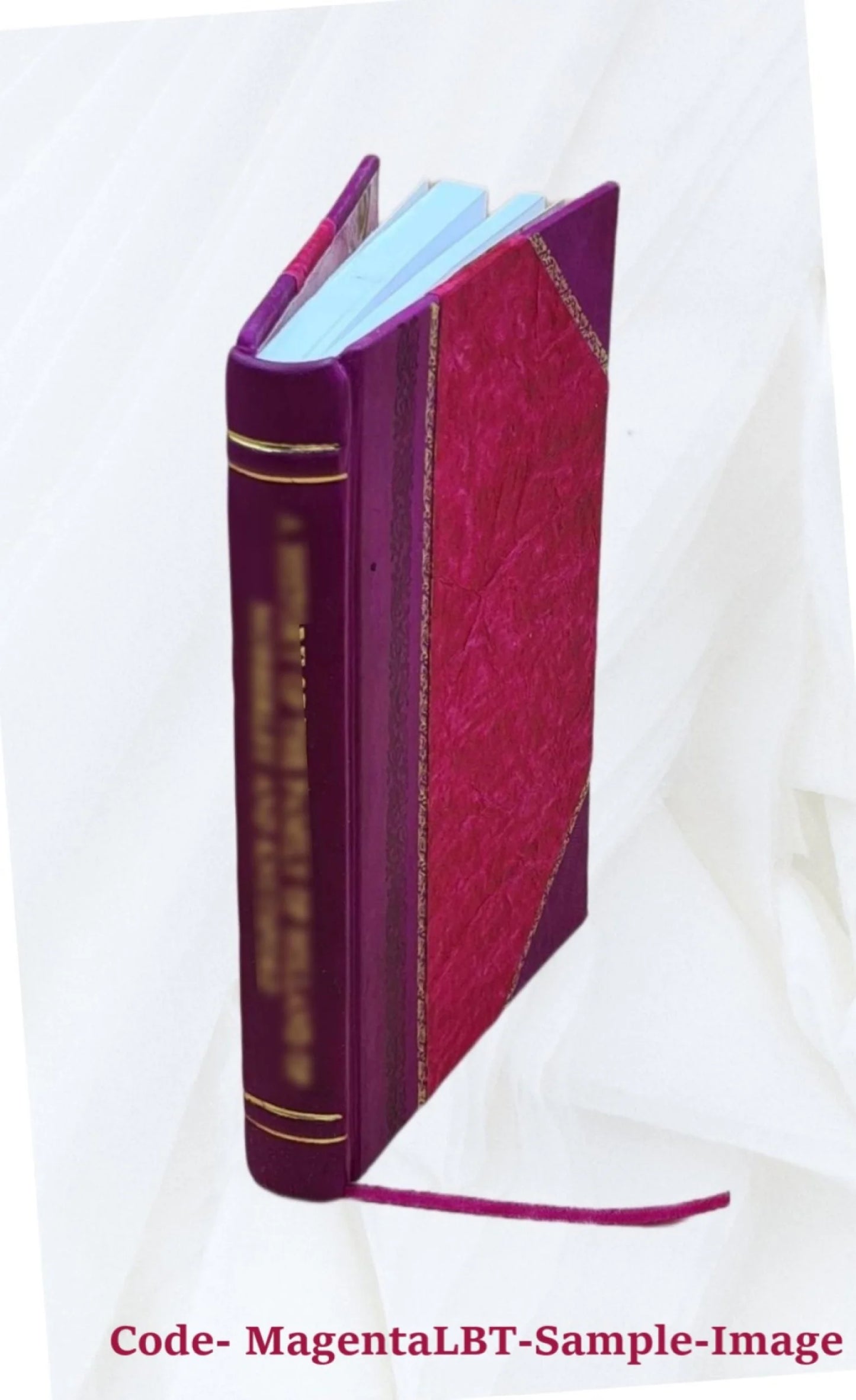 [Leather Bound] Claretie 1827-1875 Carpeaux, J.-B. / Jules 1875