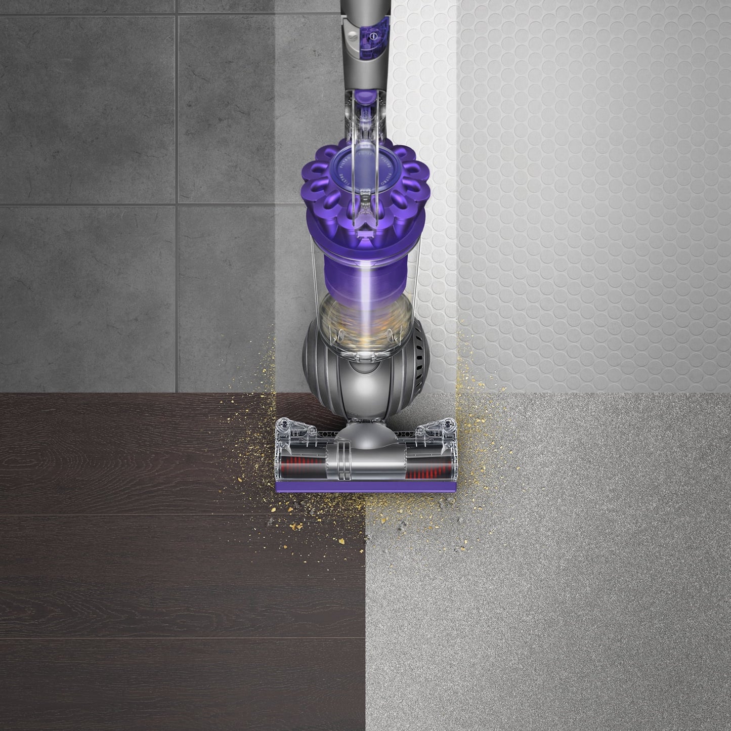 Vacuum New Animal | Dyson 2 | Upright Ball Purple