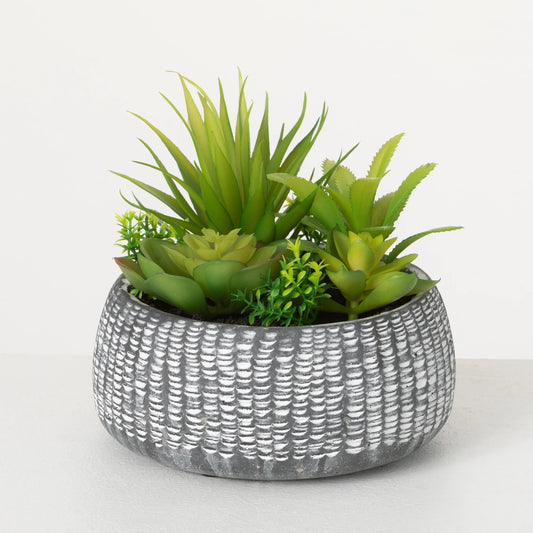 Sullivans In Succulent Planter Cement Green Artificial 6"H