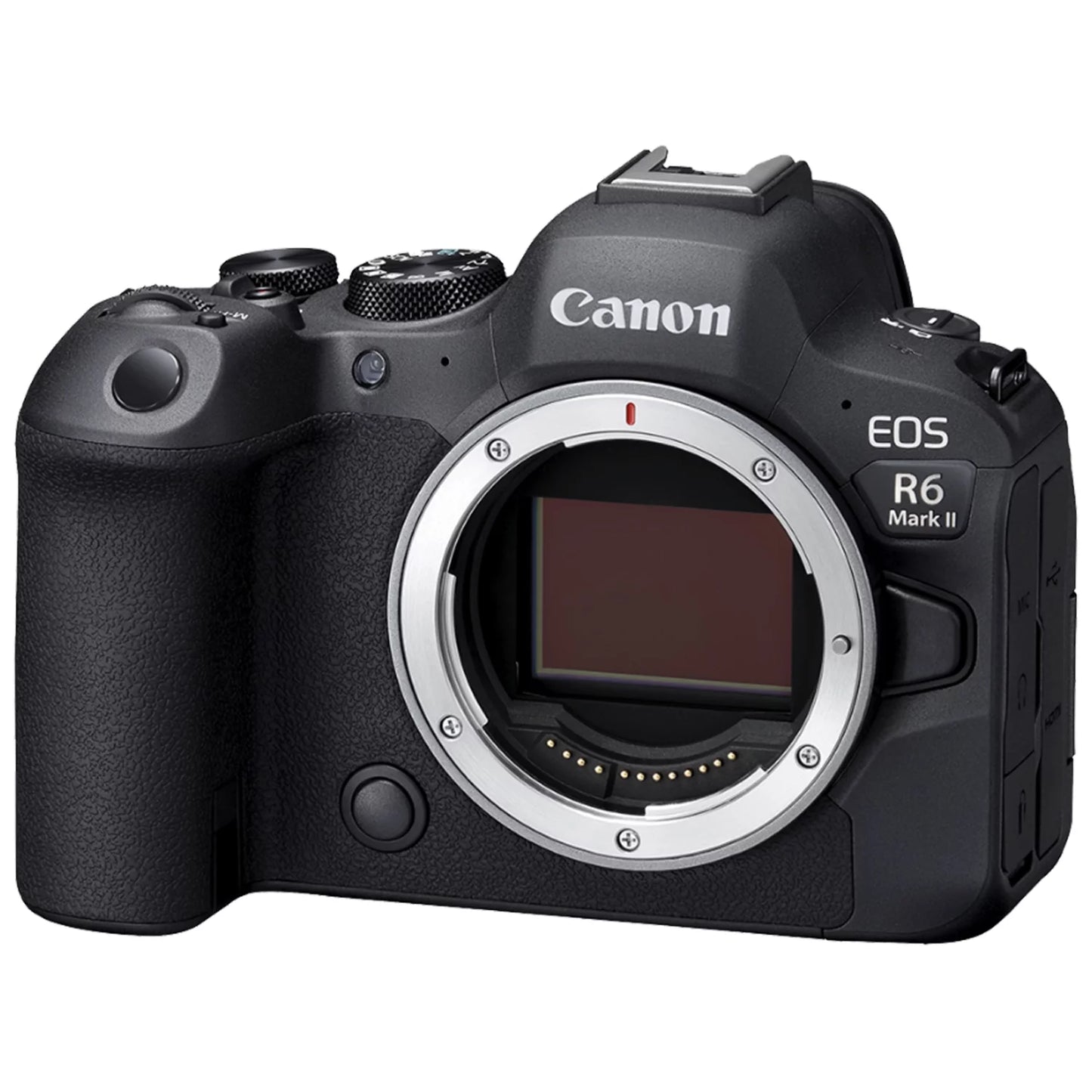 Canon + ZeeTech LED 64GB Mark II Mirrorless Accessory R6 EOS (Body) with Bundle + Camera Memory Flash Card Case + SanDisk