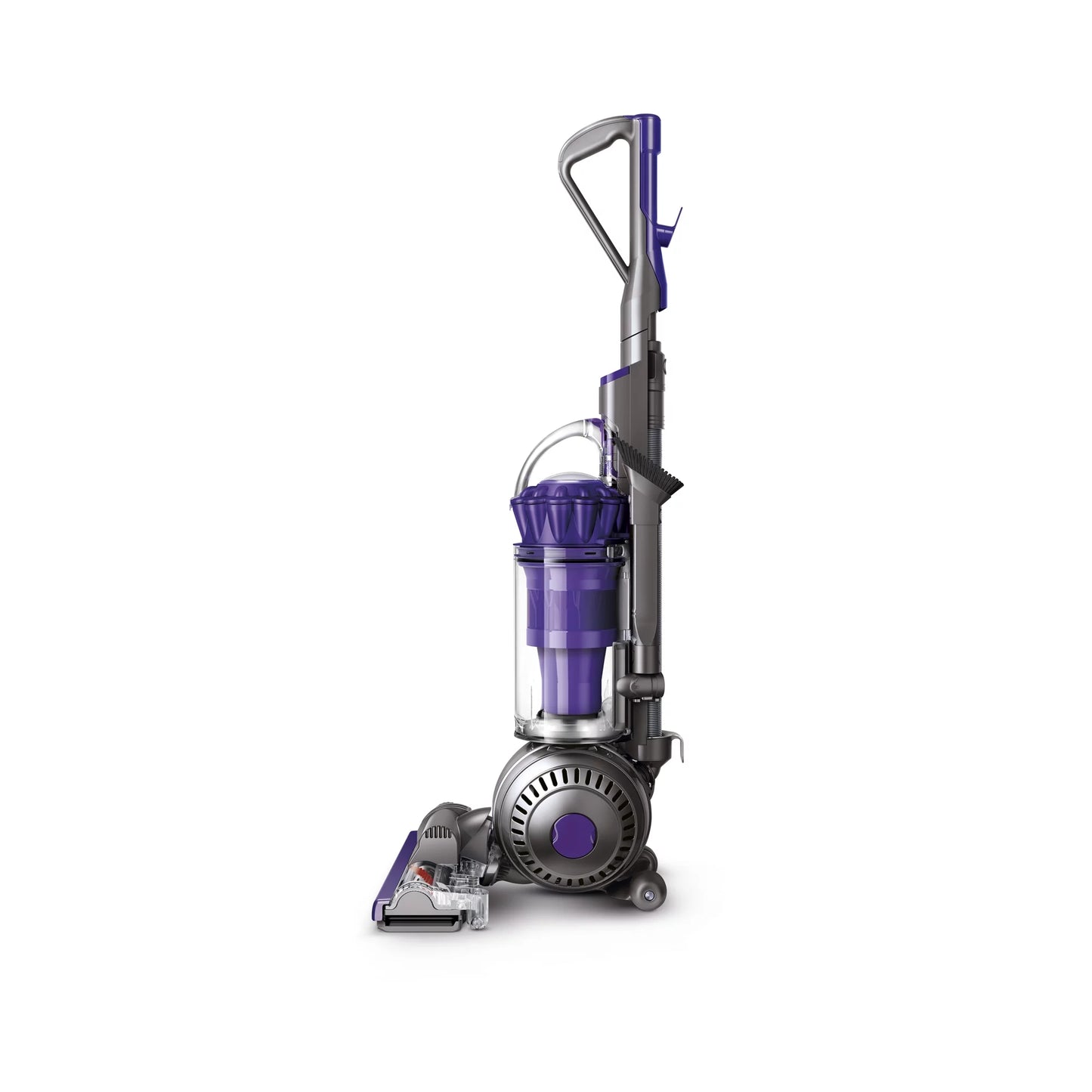 Vacuum New Animal | Dyson 2 | Upright Ball Purple