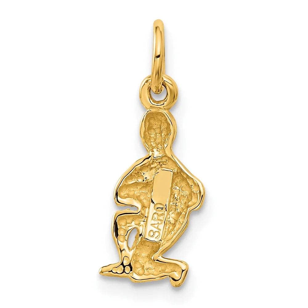 20 Gold 8 FJC Finejewelers Aquarius kt Charm x mm Yellow Zodiac 10