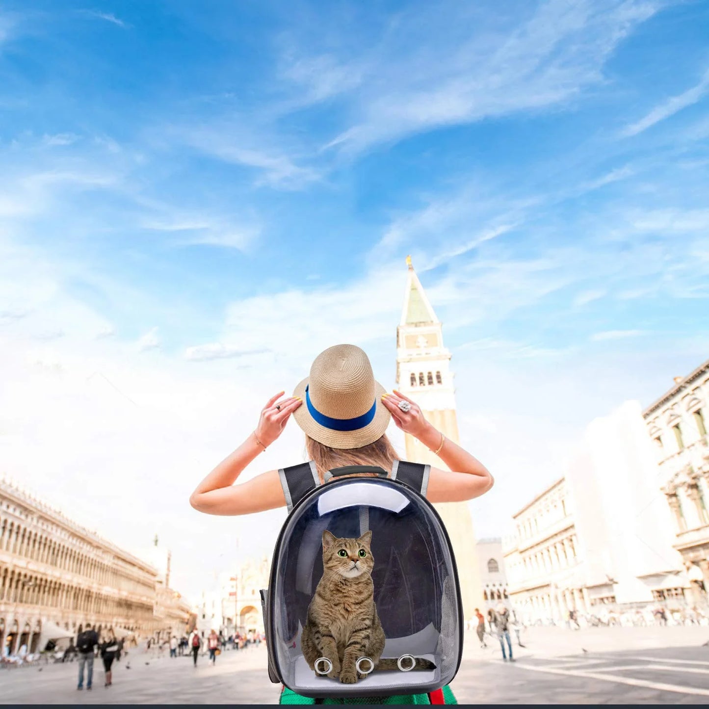 Outdoor Hiking, for for Pet Carrier Puppies,Designed Travel, and and Bubble Cats Backpack,Airline-Approved Adventures