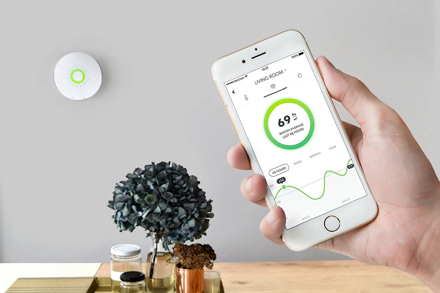 Smart Radon Detector Wave Airthings