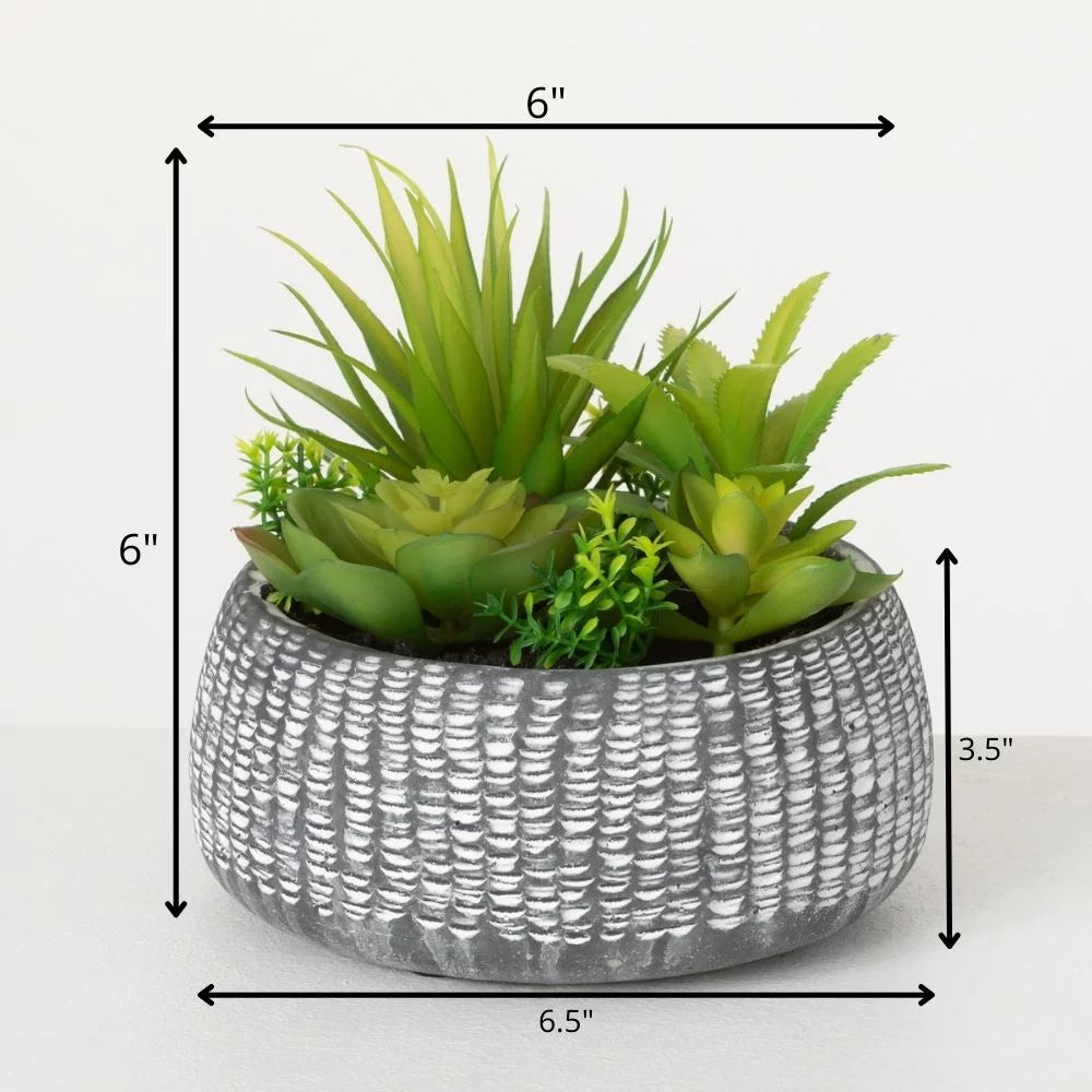 Sullivans In Succulent Planter Cement Green Artificial 6"H