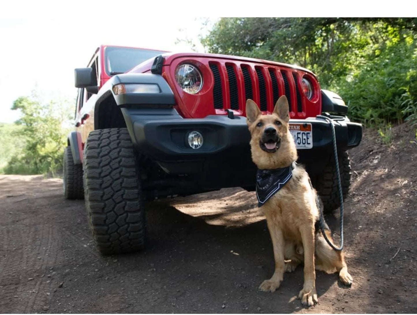 Venture Bed, Sleeping Bag Large Dog Jeep Colorado Red,