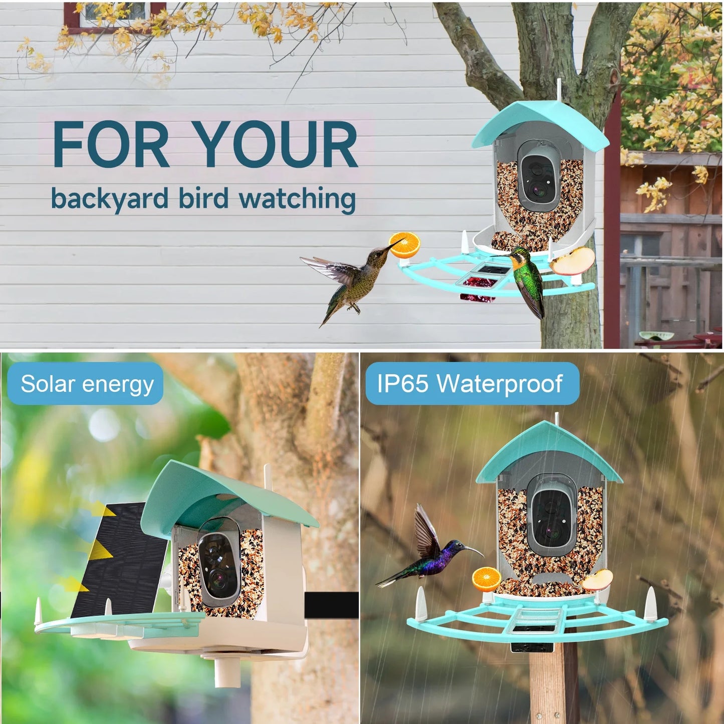 With AppAi Feeder Camera Camera Smart CameraVideo Feeder Pir Vico Powered Species Wifi With Surveillance Wireless Camera Andoer Ai Camera Deterrent Ai Solar 1080p Squirrel camera,Feeder