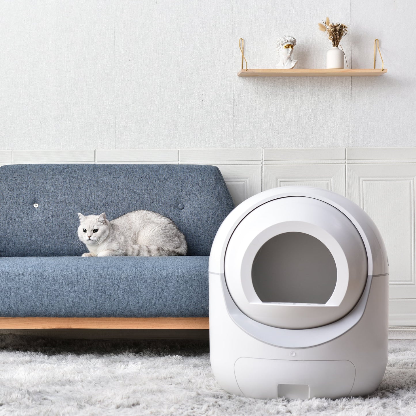 Litter Cat Smart Litter Cats App Multiple WiFi Control, 5G & Cleaning Litter Box, 2.4G Robot for Self Automatic Box, Support