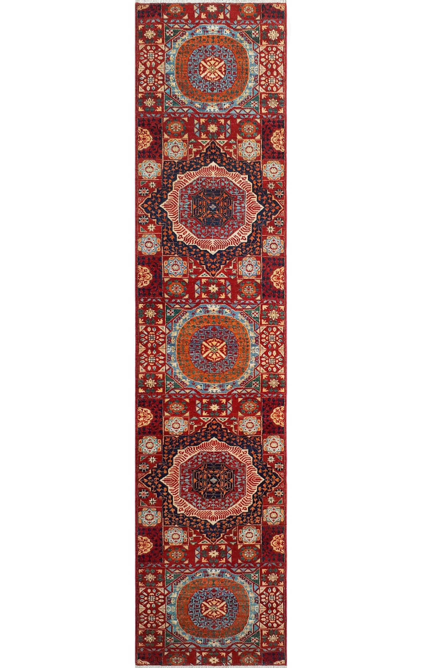 Aria 2'9" Anny x Red/Blue 12'0" Runner,