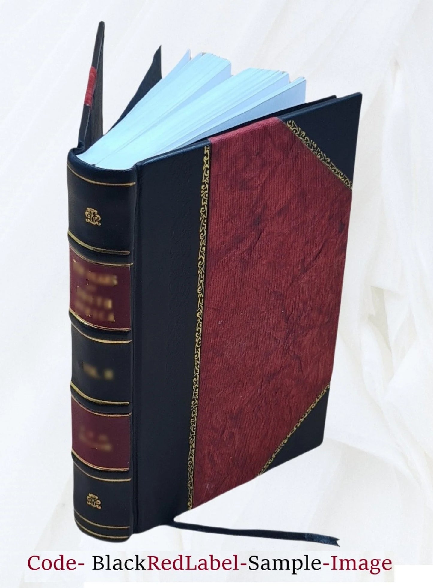 1883 Bound] painted of The Cyprus churches [Leather