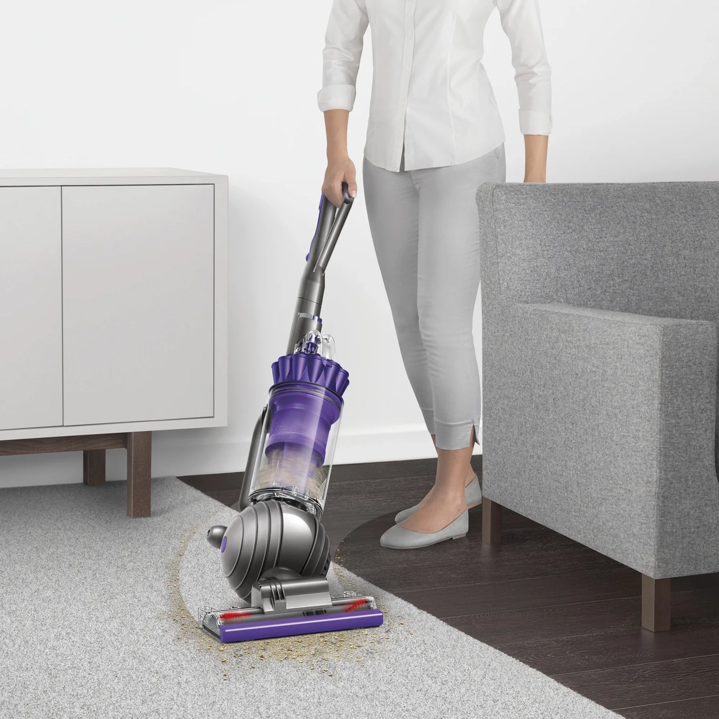 Vacuum New Animal | Dyson 2 | Upright Ball Purple