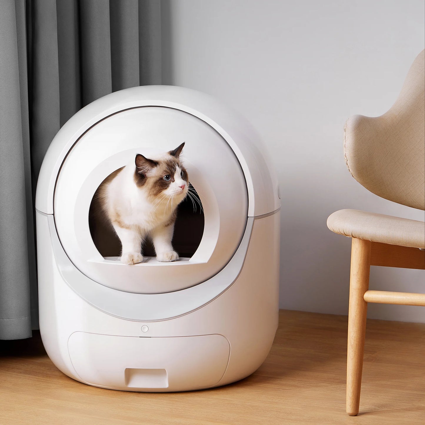 Litter Cat Smart Litter Cats App Multiple WiFi Control, 5G & Cleaning Litter Box, 2.4G Robot for Self Automatic Box, Support