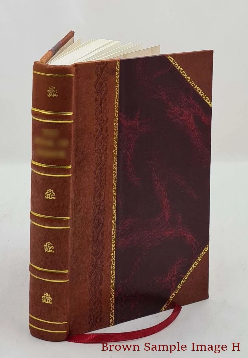 1883 Bound] painted of The Cyprus churches [Leather