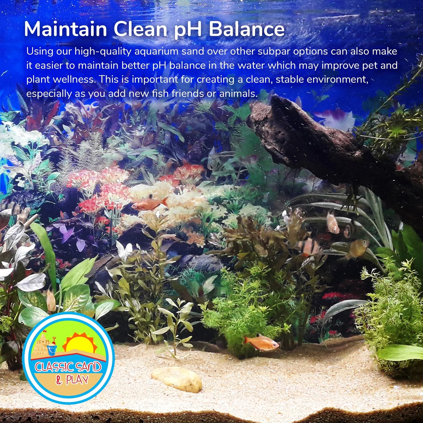 Sand Yellow for CLASSIC lb. Tanks, Natural SAND & Saltwater 40 and Freshwater Aquarium PLAY