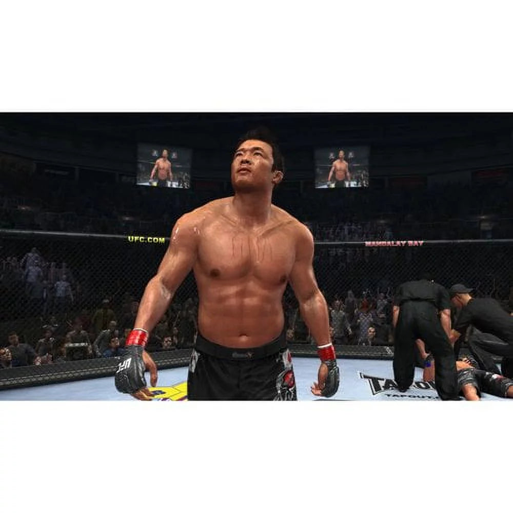 360) UFC THQ (Xbox 2010 Undisputed